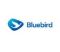 Logo Bluebird Taksi Pool Cijantung Logo Bluebird Taksi Pool Cijantung